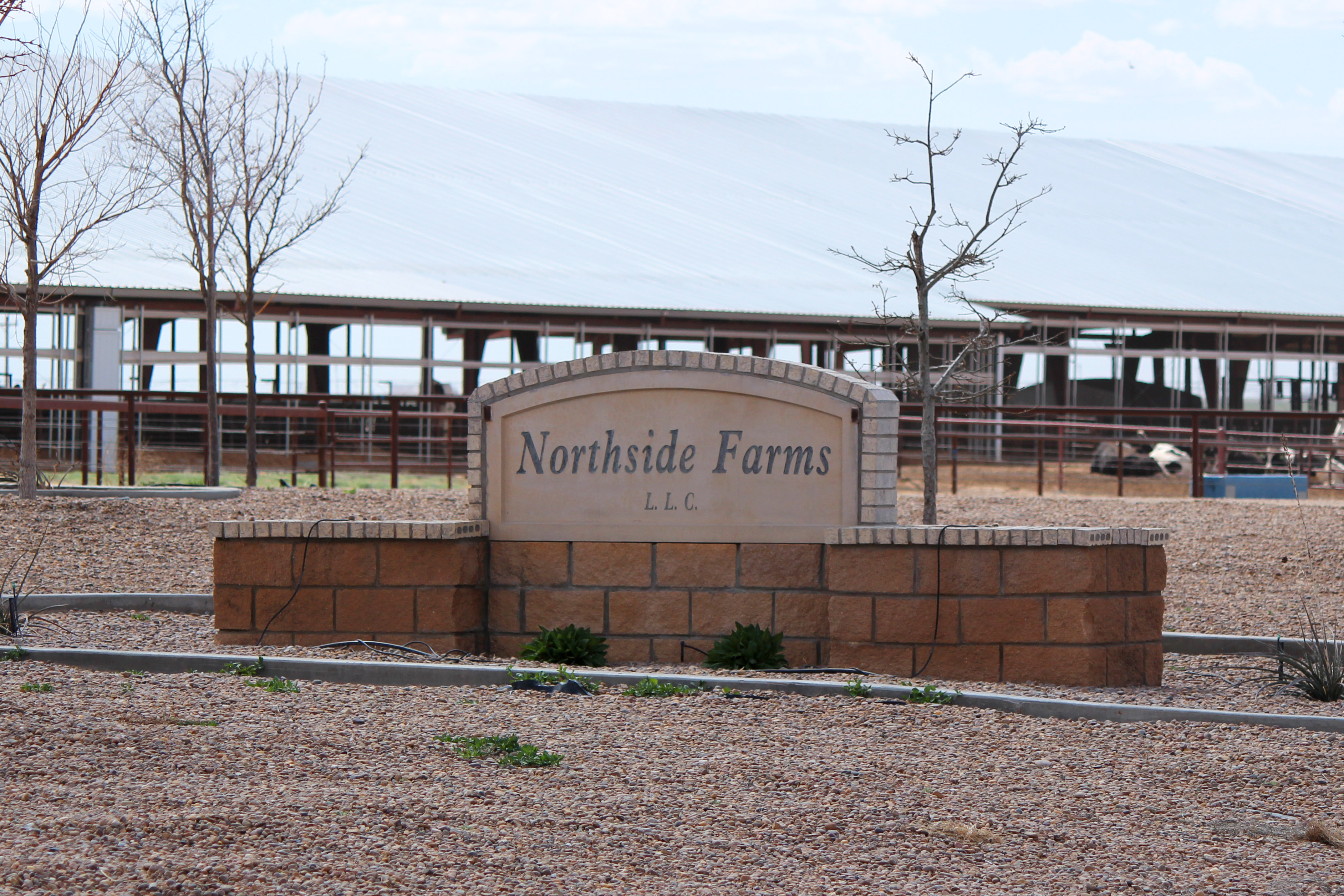 US Dairy Education and Training Consortium visiting Northside Farms